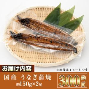ふるさと納税 門川町 国産 うなぎ蒲焼(約15...の詳細画像2