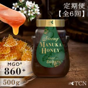 ふるさと納税 西尾市 【定期便全6回】マヌカハニー MGO860+ 500g ストロングマヌカハニー・T145