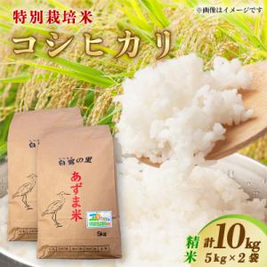 ふるさと納税 稲敷市 【令和7年産】特別栽培コシヒカリ10kg(5kg×2袋)　精米