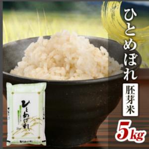ふるさと納税 酒田市 ひとめぼれ 胚芽米 5kg