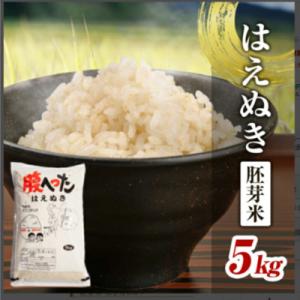 ふるさと納税 酒田市 はえぬき 胚芽米 5kg