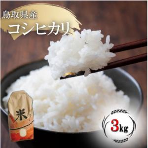 ふるさと納税 琴浦町 コシヒカリ 令和7年産 鳥取県産 3kg