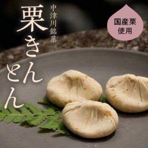 ふるさと納税 中津川市 【老舗 くり屋南陽軒】栗きんとん 10個入