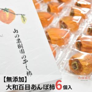 ふるさと納税 南アルプス市 《2026年発送分先行予約》【無添加】大和百目あんぽ柿6個入 ALPAJ026