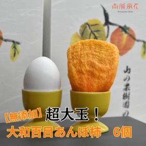 ふるさと納税 南アルプス市 《2026年発送先行予約》【無添加】超大玉!大和百目あんぽ柿6個入 ALPAJ051