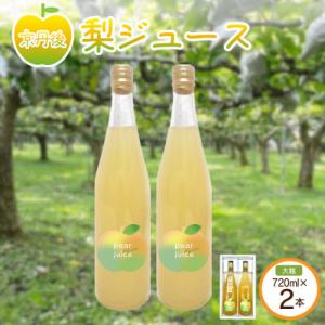 ふるさと納税 京丹後市 【先行予約】京丹後の梨ジュース 大瓶2本入り(2026年10月下旬〜順次発送)