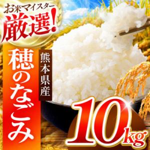 ふるさと納税 和水町 熊本県産 穂のなごみ 白米 10kg (ブレンド米)　
