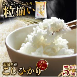 ふるさと納税 下妻市 精米 コシヒカリ 5kg 茨城県下妻市産
