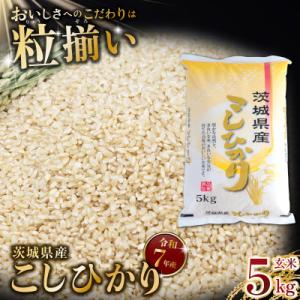 ふるさと納税 下妻市 玄米 コシヒカリ 5kg 茨城県下妻市産