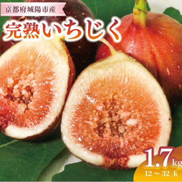 ふるさと納税 城陽市 完熟いちじく 約1.7kg (12〜32個目安) 5L〜Mサイズ