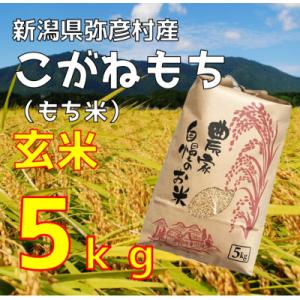 ふるさと納税 弥彦村 新潟県弥彦村石井農園　令和7年産 こがねもち【玄米 5kg】玄米もち、玄米おはぎ、玄米おこわ等に