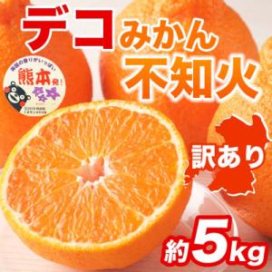 ふるさと納税 宇城市 【先行予約】訳あり 熊本県 宇城市産 甘さと酸味が絶妙 不知火 デコみかん 約5kg(宇城市)