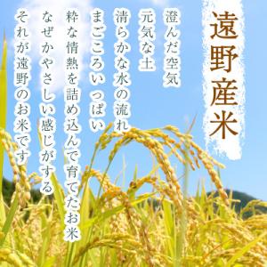 ふるさと納税 遠野市 【令和7年産】銀河のしず...の詳細画像1
