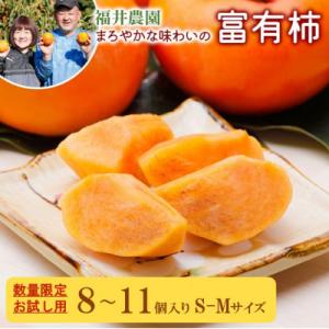 ふるさと納税 本巣市 《 訳あり 》 福井農園の富有柿  お試し 8〜11個入り S-Mサイズ