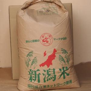 ふるさと納税 糸魚川市 【令和7年産】新潟県糸魚川産 こしいぶき 玄米 30kg