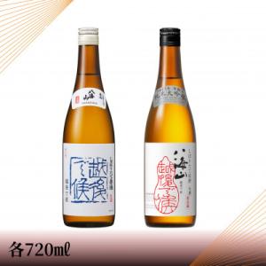 ふるさと納税 南魚沼市 【季節限定品】純米大吟醸八海山しぼりたて原酒越後で候赤・八海山しぼりたて原酒...