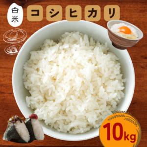 ふるさと納税 笠間市 令和7年度 笠間産 コシヒカリ 10kg　精米