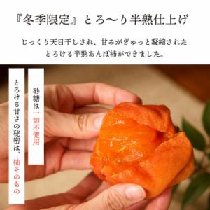ふるさと納税 山梨市 【2026年11月より発...の詳細画像1