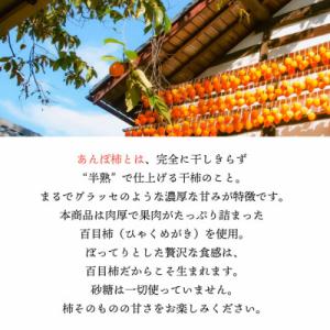ふるさと納税 山梨市 【2026年11月より発...の詳細画像2