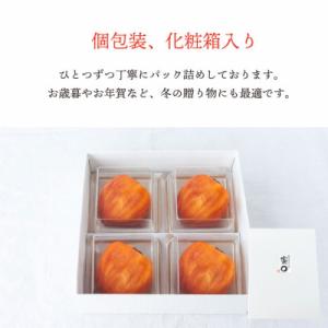 ふるさと納税 山梨市 【2026年11月より発...の詳細画像3