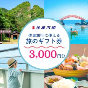 ふるさと納税 佐渡市 佐渡旅行に使える 旅のギフト券 3,000円分