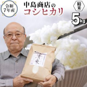ふるさと納税 つくばみらい市 令和7年産 茨城県産 お米 こしひかり 5kg 精米