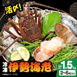 ふるさと納税 いすみ市 活〆冷凍伊勢海老 1.5kg