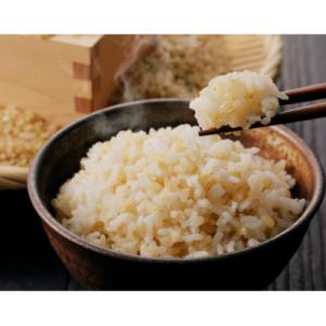 ふるさと納税 茅野市 【令和7年産】信州八ヶ岳山麗 長野県産コシヒカリ 玄米　5kg(5kg×1袋)