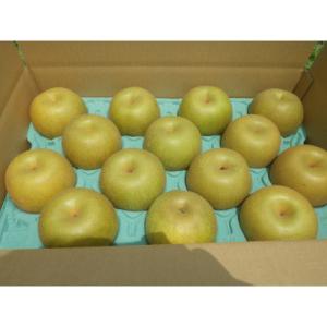 ふるさと納税 磐田市 【限定30口】梨『幸水』5kg　2026年8月上旬より発送予定