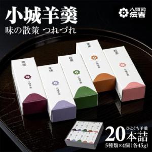 ふるさと納税 小城市 小城羊羹 つれづれ(贈答用 20本詰)