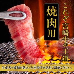 ふるさと納税 都城市 【畜産農家応援】【期間限...の詳細画像1