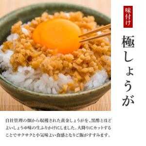 ふるさと納税 芸西村 味付け極しょうが 110...の詳細画像1