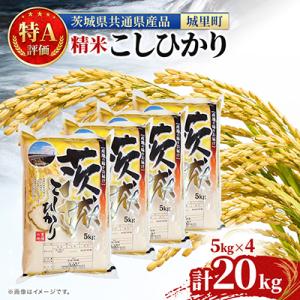 ふるさと納税 水戸市 【令和7年産】茨城県産こしひかり(精米)　20kg(5kg×4) (茨城県/城里町)