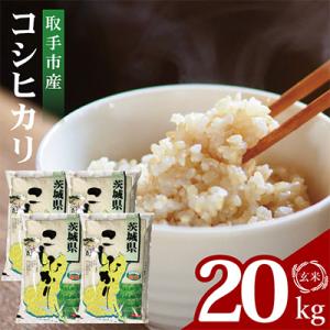 ふるさと納税 取手市 取手市産コシヒカリ玄米 計20kg