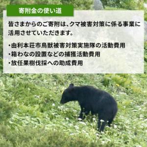 ふるさと納税 由利本荘市 【返礼品なし】クマ被...の詳細画像2