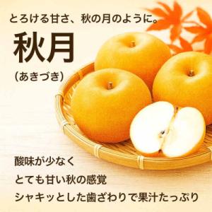 ふるさと納税 荒尾市 熊本県産 秋月梨 6〜1...の詳細画像1