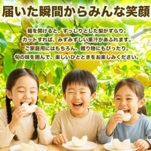 ふるさと納税 荒尾市 熊本県産 秋月梨 6〜1...の詳細画像3