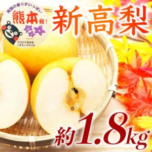 ふるさと納税 荒尾市 熊本県産 新高梨 5〜8玉 約1.8kg シャキシャキ 甘い 人気のフルーツ・ナシ　(荒尾市)