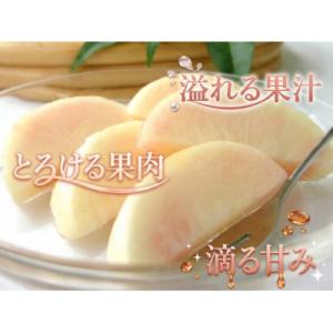 ふるさと納税 紀の川市 あら川の桃 (訳あり)...の詳細画像1