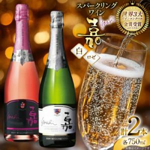 ふるさと納税 高畠町 白&amp;ロゼ 嘉 スパークリングワイン 辛口 750ml×2本　【高畠ワイナリー】