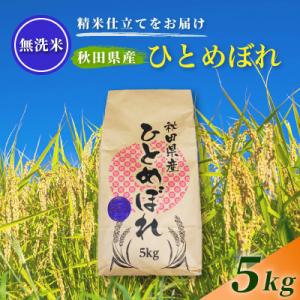 ふるさと納税 由利本荘市 令和7年産【無洗米】通算5回特A 秋田県産ひとめぼれ 5kg(5kg×1袋) 配送《1回のみお届け》