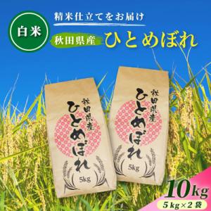 ふるさと納税 由利本荘市 令和7年産 【白米】通算5回特A 秋田県産ひとめぼれ 10kg(5kg×2袋) 配送 1回のみお届け