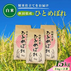 ふるさと納税 由利本荘市 令和7年産【白米】通算5回特A 秋田県産ひとめぼれ 15kg(5kg×3袋) 配送 1回のみお届け