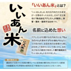 ふるさと納税 酒田市 【無洗米】はえぬき 5k...の詳細画像1