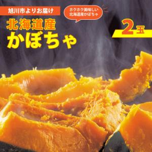 ふるさと納税 旭川市 2026年秋収穫 早期予約 北海道産 かぼちゃ 2玉_05689