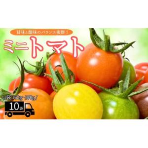 ふるさと納税 伊予市 ミニトマト計1600gから1800gカラートマト食べ比べセット