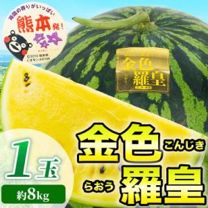 ふるさと納税 和水町 【先行予約】 TVで紹介 高糖度の金色すいか! 金色羅王 3L以上 1玉 約8...