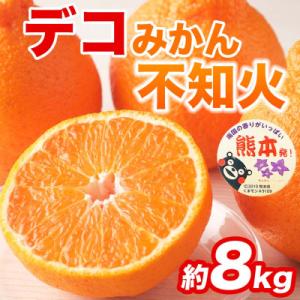 ふるさと納税 荒尾市 不知火 デコみかん(デコポンと同品種)18〜37玉 約8kg(荒尾市)