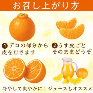 ふるさと納税 荒尾市 不知火 デコみかん(デコ...の詳細画像2