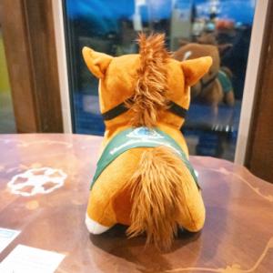 ふるさと納税 平取町 【競馬グッズ】【アドマイ...の詳細画像2